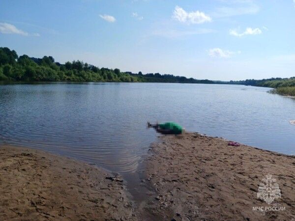 Спасал детей: стали известны страшные подробности смерти костромича