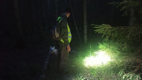 Морально тяжело: добровольцы рассказали о поисках погибшей в лесу костромички