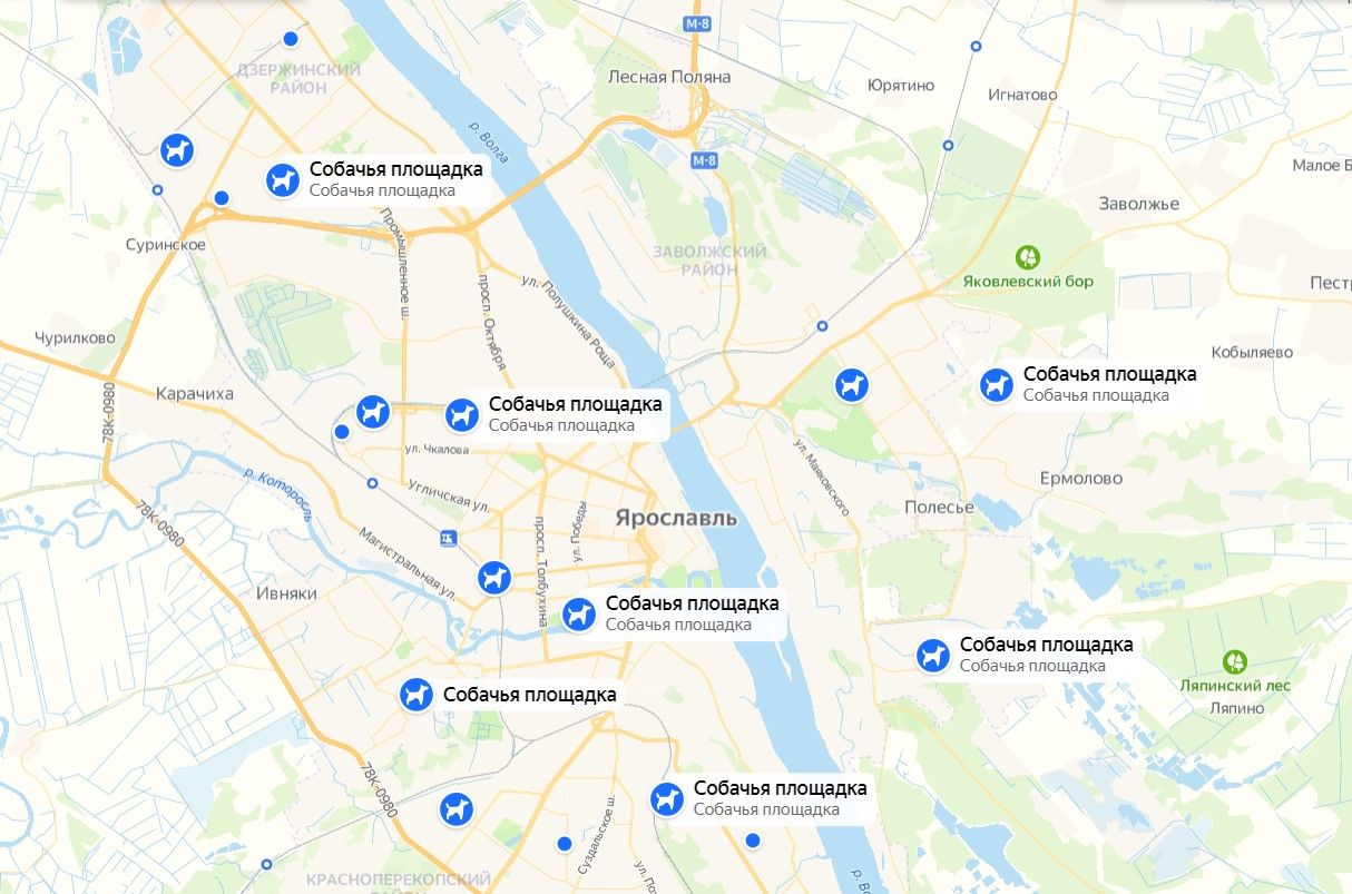 Костромичи увидели количество площадок для выгула собак в Ярославле и вздохнули