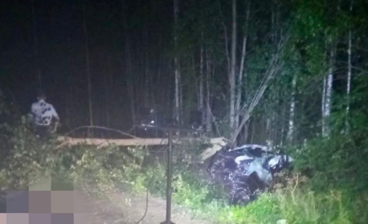 Водитель погиб во время страшной аварии в Костромской области