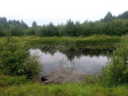 Еще одного человека нашли в реке Костромской области
