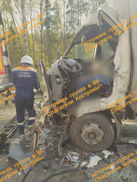 Водитель погиб: жуткая авария с лосем произошла под Костромой