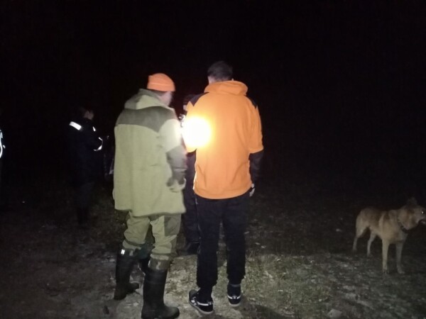 Медведи помешали поиску пропавшей в Костромской области москвички