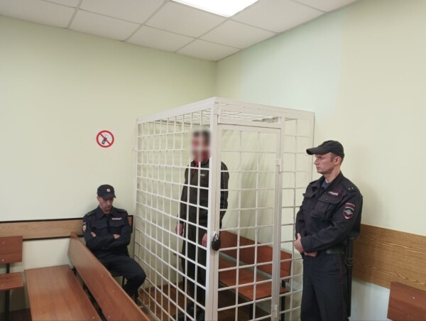 Главу Шарьи Эдуарда Неганова заключили под стражу в зале суда