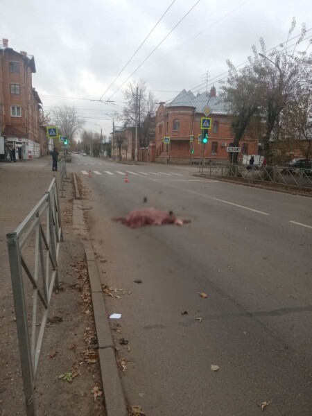 Уголовное дело возбуждено после гибели женщины под колесами автобуса в Костроме