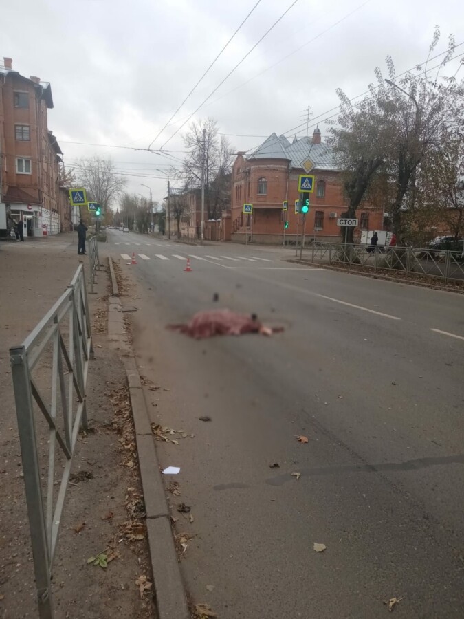Жуть: автобус насмерть сбил женщину в Костроме