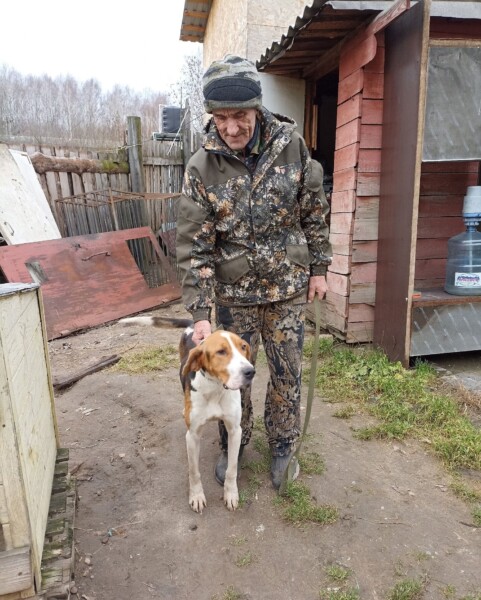 До слез: потерявшийся в лесу пес встретился с хозяином под Костромой