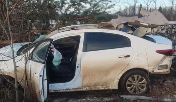 Погиб таксист: подробности смертельной аварии с лосем под Костромой