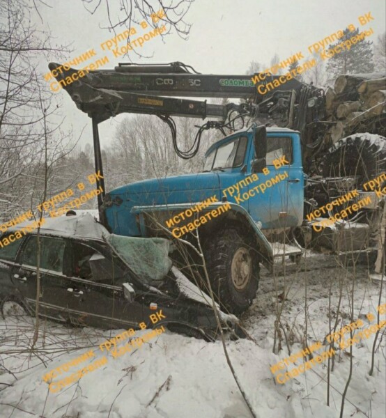 Два человека погибли в аварии с лесовозом в Костромской области