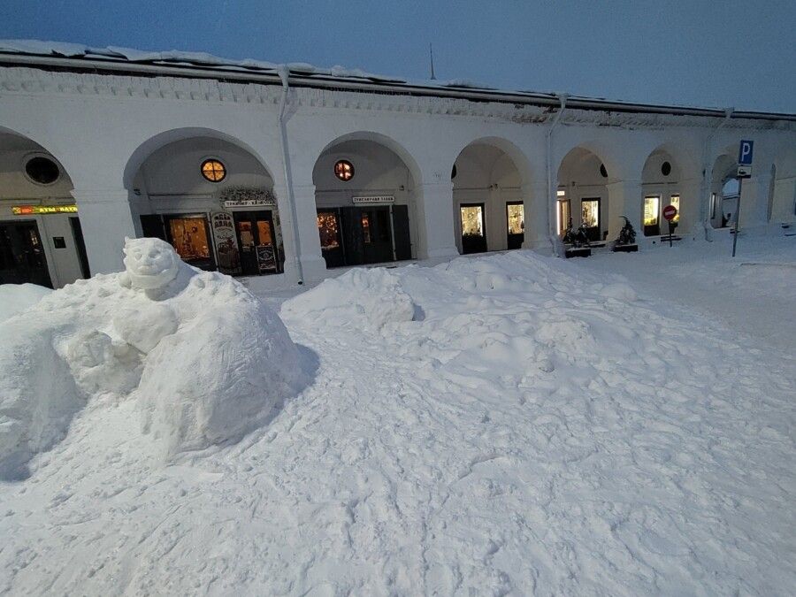 Полиция ищет разрушителей снежных скульптур в Костроме