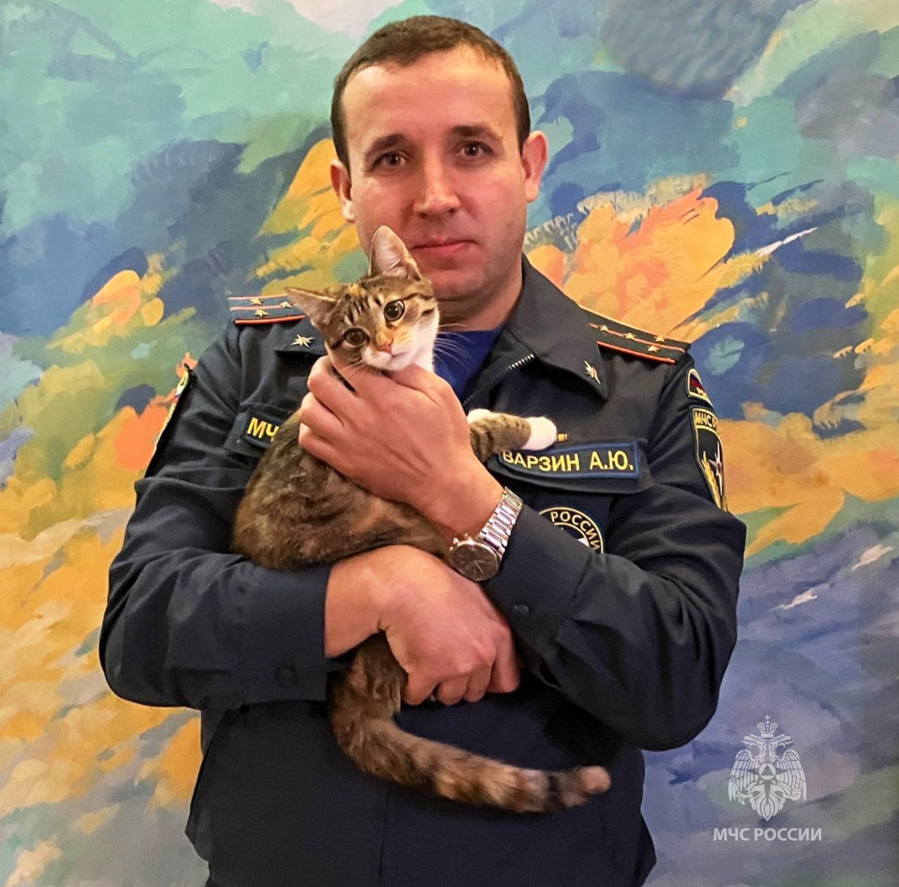 Брошенный на смерть котенок стал представителем костромского МЧС