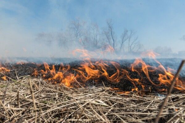 Горожанам озвучили штрафы за сжигание Костромской области