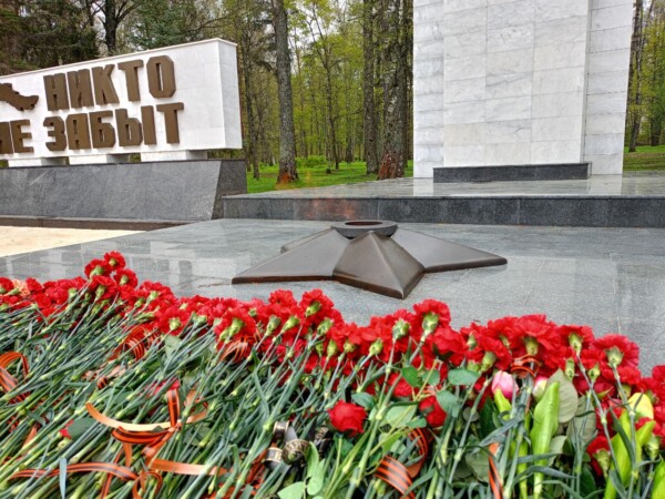 Солдатская каша, кино в парках, парад: как пройдет День Победы в Костроме