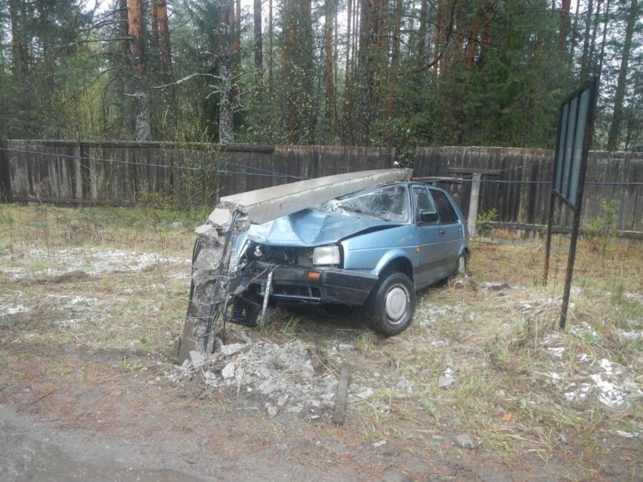 Четверо детей пострадали в аварии из-за собаки в Костромской области