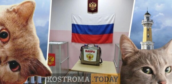 Кандидаты в губернаторы вот-вот покажутся костромичам