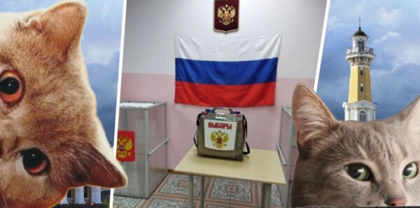 Костромичи смогут «торговать лицом» за любимых кандидатов на выборах