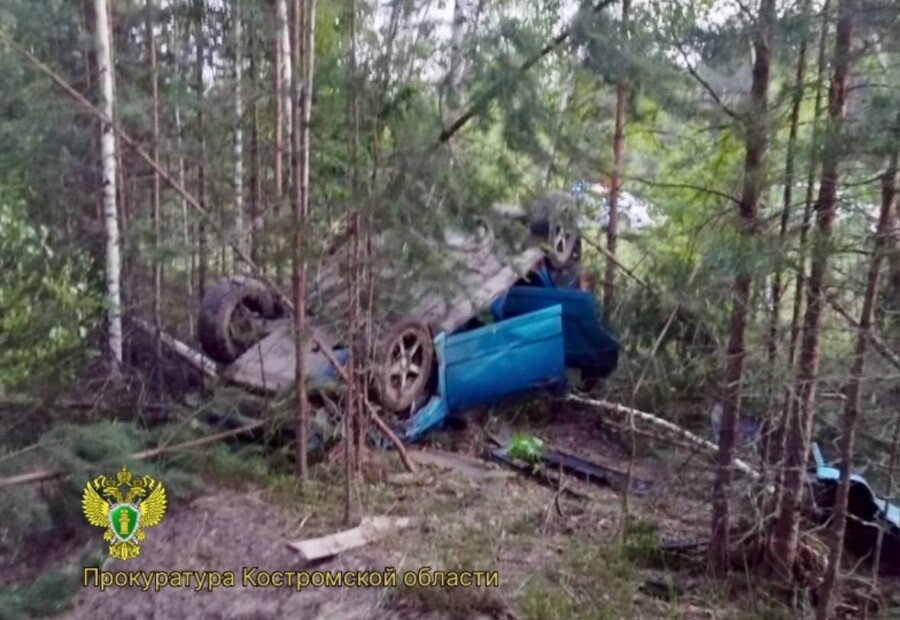 Два костромича погибли после встречи с лосем