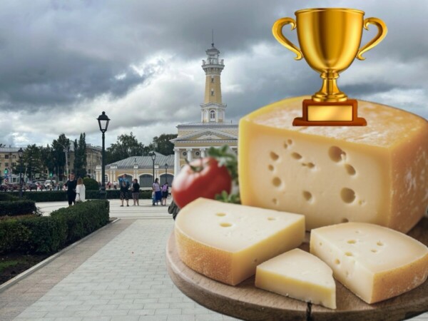 Кострома попытается прославиться на всю страну с помощью сыра и воды