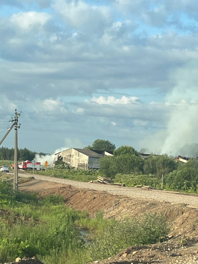 Дети спрятались покурить и подожгли известный костромской конезавод