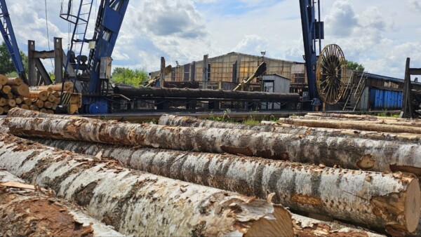 «Свеза» инвестирует 130 млн рублей в модернизацию костромского комбината