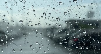 Погода в Костроме: обещают похолодание и дожди