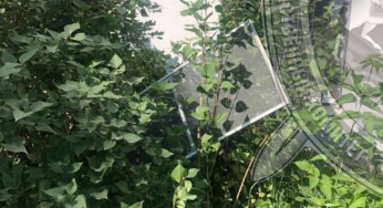 Несколько детей выпали из окон в Костромской области