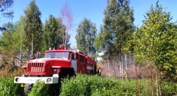 Лесной пожар в Костромской области тушили больше 8 часов