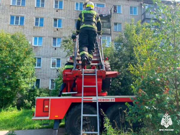 Спасали пожарные: ребенок заманил себя в ловушку в Костромской области