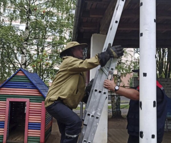 Шумную группу полосатиков из костромского детского сада увезли в лес от греха подальше