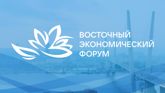 Александр Ведяхин: Российская экономика пока находится в состоянии управляемого мягкого охлаждения