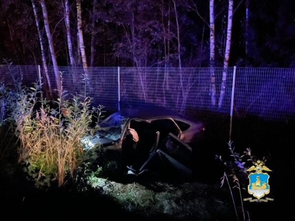 Страшная авария в Костромской области унесла жизни семейной пары