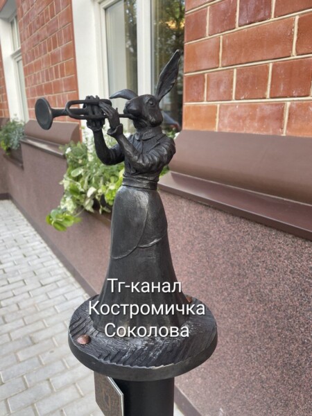 В Костроме рассекретили личность 14-го мазайского зайца