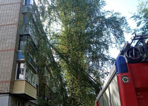 Около 20 человек эвакуировали во время пожара в Костроме