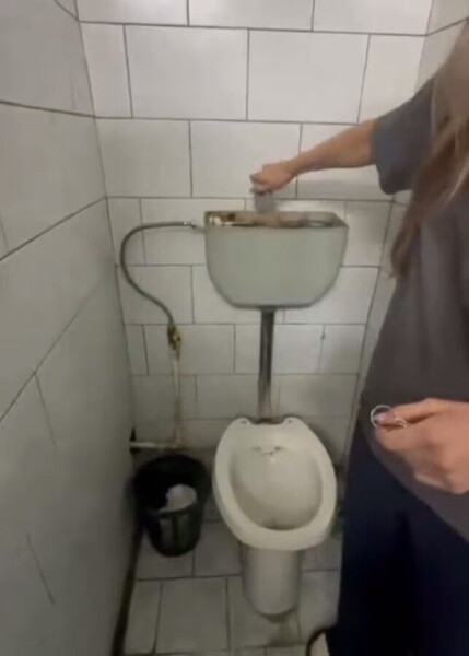 Костромскому вузу досталось от прокуратуры за свинство