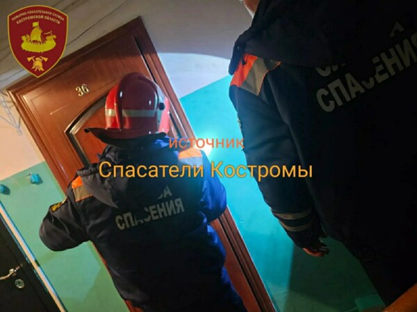 Спасатели обнаружили мертвого мужчину в Костромской области
