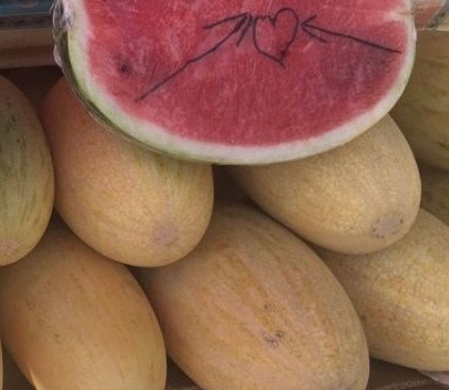 20 тонн иностранных дынь приехали в Кострому туда, где их не ждали