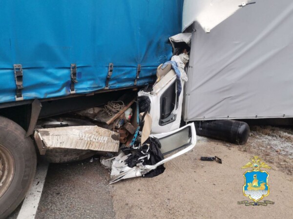 Два человека погибли в аварии с семью автомобилями в Костромской области