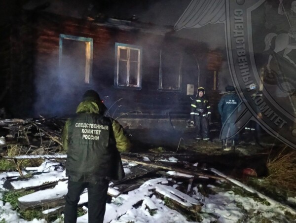 Мужчина погиб во время пожара в Костромской области