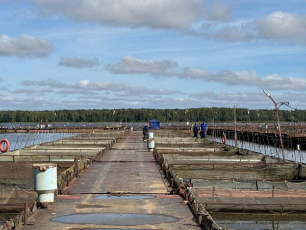 Раздалось несколько хлопков: атаку беспилотника отразили в Костромской области