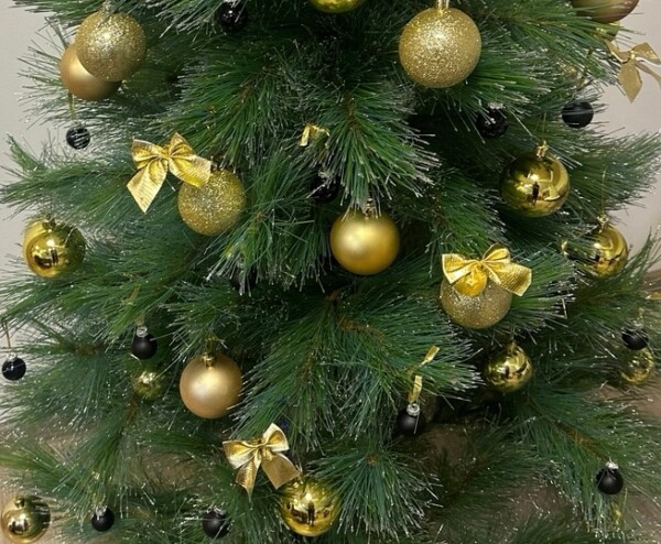 Дорого-богато: главная ёлка Костромы в этом году будет в золоте