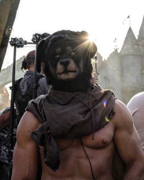 Собака из «Бременских музыкантов» планирует улучшать фигуры жителей Костромы