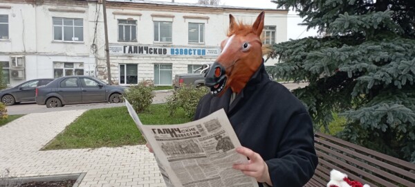 Коня в пальто с газетой обнаружили наряжающим елку в Костромской области