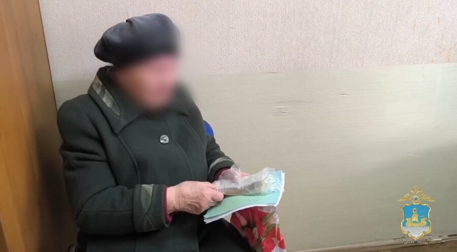 Костромичка отправила полмиллиона рублей в пальто на деревню дедушке