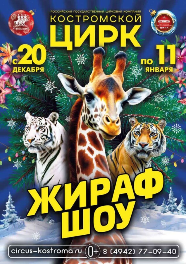 «Жираф-шоу, тигры, ловкие козлики»: костромичей приглашают на новую программу в цирке