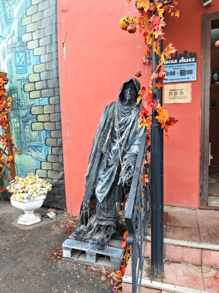 Дементора отдают в добрые руки в Костроме