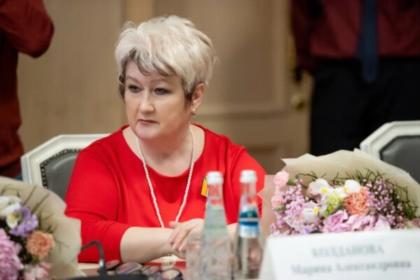 Костромичка получила медаль от Министерства обороны за чебурашек и не только