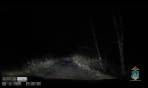 Пахнущий костромич попытался спрятаться от полиции в лесу