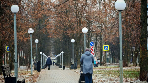 Стало известно, в каких костромских дворах наведут красоту в этом году