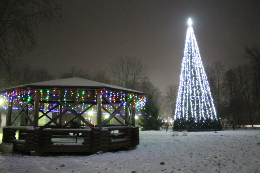 Костромские ёлки претендуют на звание лучших в стране