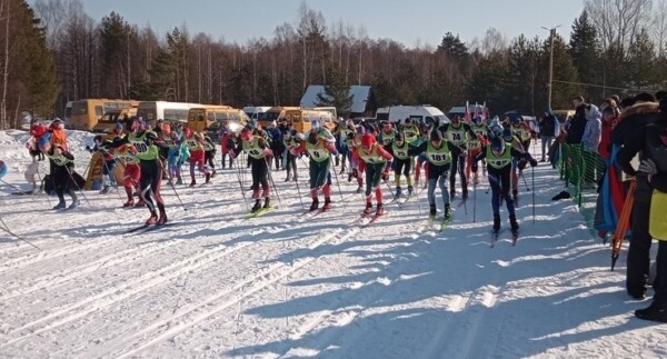 Грифон будет следить за убегающими чиновниками в Костромской области